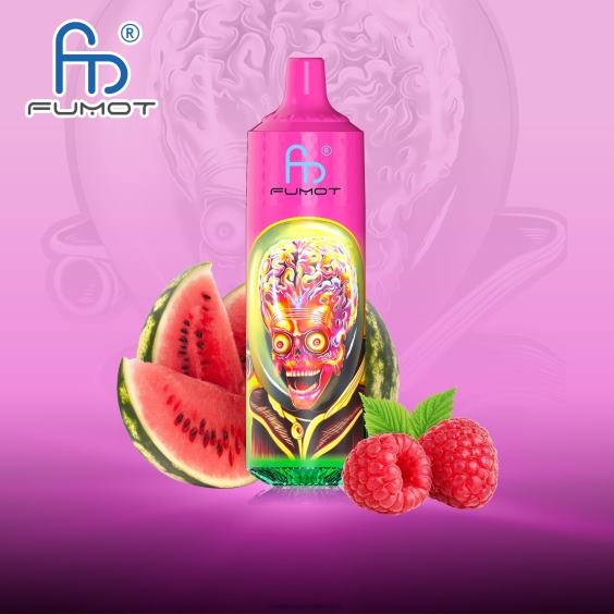 Fumot RandM Tornado 9000 Pro Vape-Gerät mit Akku und E-Juice-Display Version 1 Himbeer-Wassermelone RandM vape kaufen 8FV8T196