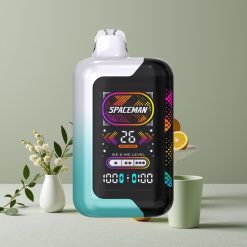 SMOK Spaceman SP40000 0% Nikotin Disposable 20ml 40000 Züge 1000mAh Rechargeable Frische Minze