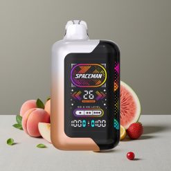 SMOK Spaceman SP40000 0% Nikotin Disposable 20ml 40000 Züge Dual Coil Typ-C Ladung